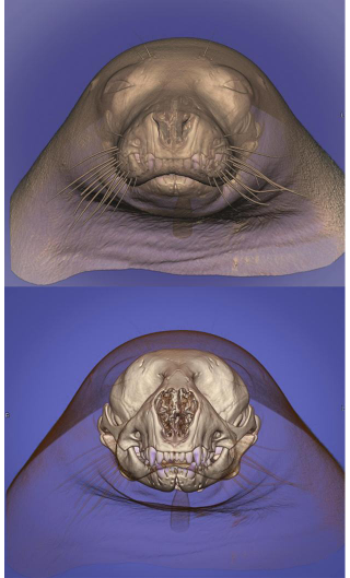 Illustration for article titled These Close-Up Views Of Nature And Technology Are Simply Awe-Inspiring
